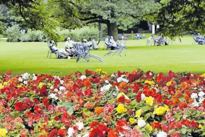 Der Luisenpark dürfte auf die Bienen wie ein Magnet wirken. Blumen gibt es hier reichlich.