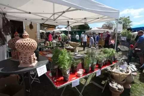 An den Marktständen auf dem Festplatz soll man Europa fühlen, riechen und schmecken können.  Foto: van