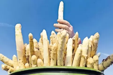 Spitze, der Spargel. Und Anlass für Veranstaltungen und Angebote.