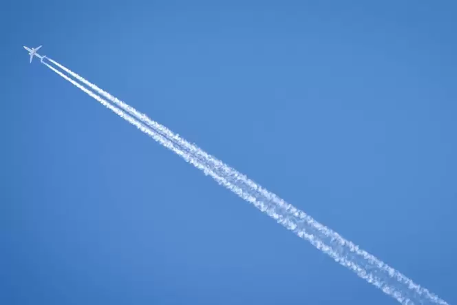 92313469.jpg