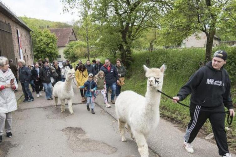 Erstes Hoffest Auf Dem Wilensteiner Hof Bei Trippstadt Ist Voller 