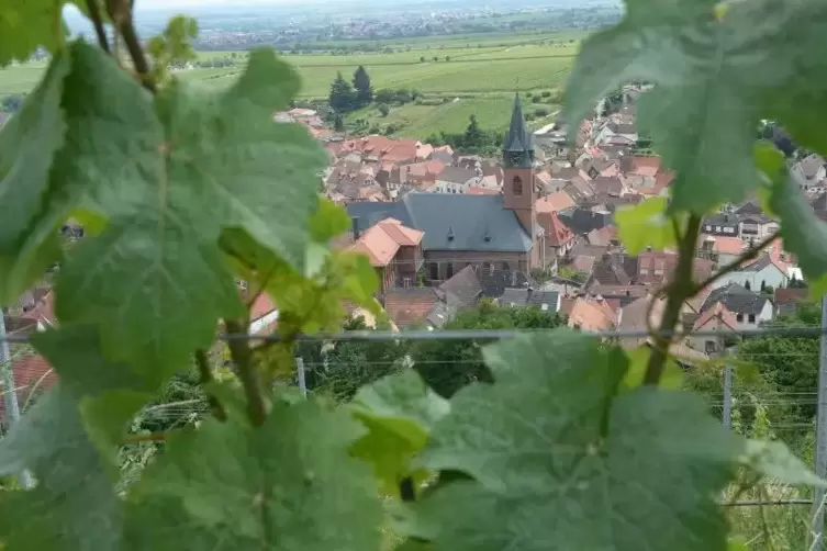 Am Samstag geht’s in die Weinberge rund um St. Martin.   Archivfoto: Mehn