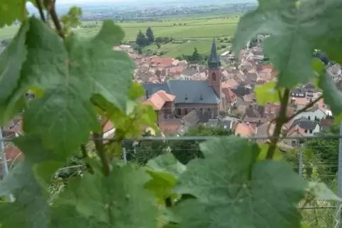 Am Samstag geht’s in die Weinberge rund um St. Martin.   Archivfoto: Mehn