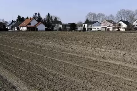 Künftiges Baugebiet im Osten Eppsteins: der Bereich Bornfeld. Foto: BOLTE