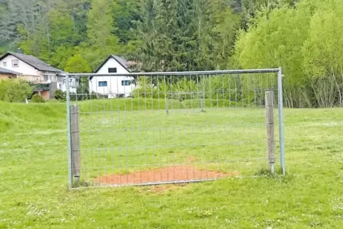 Werden erneuert: die Fußballtore in den Bruchwiesen.