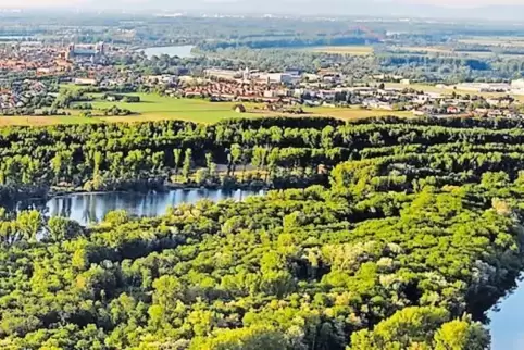 Sind allen Parteien wichtig: die Rheinauen.