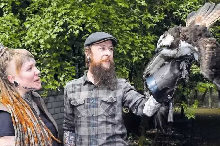 Fasziniert von Greifvögeln: Maik Heublein und Vivien Traxel mit einem Fischadler.