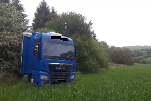 Der Sattelzug kam von der Fahrbahn ab, fuhr einen Abhang hinab und kam erst an einer Wiese zum Stehen. Foto: Polizei/frei