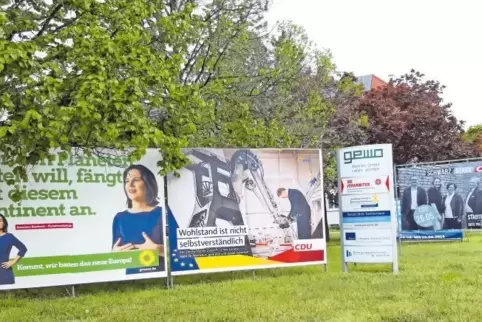 Die großen Wahlplakate, die sogenannten „Wesselmänner“ wie hier in Speyer, werden den Parteien von den Bundesverbänden zur Verfü