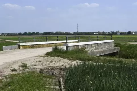 Ein Feldweg führt über diese Isenachbrücke zwischen Eppstein und Flomersheim. Aus Eppstein kommen Vorschläge, sie auch für die E