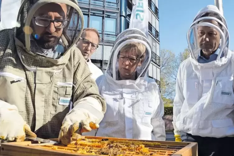 Franz Bendel präsentiert Bürgermeisterin Felicitas Kubala und Niederlassungssprecher Jürgen Britzius die Stadtbienen.