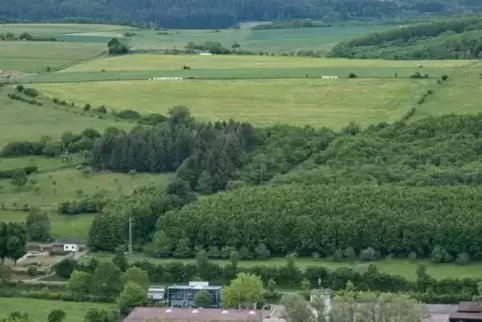Eine Wiese oberhalb des Friedhofs im St.Julianer Ortsteil Eschenau ist eine von zwei möglichen Flächen für die Photovoltaikanlag