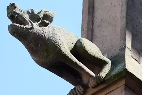 Die Gestaltung der Wasserspeier gab den Steinmetzen des Mittelalters Gelegenheit zu kreativer Entfaltung: So wie bei diesem brül