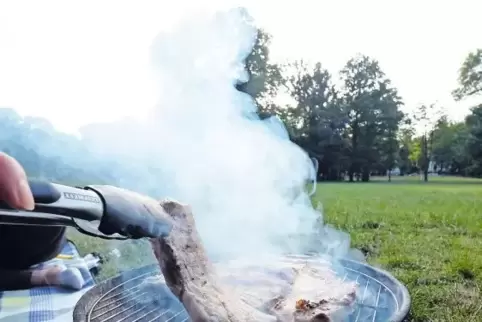 Frisch Gegrilltes ist ein Genuss, wenn man ein paar Regeln beachtet. Doch jedes Jahr gibt es in Deutschland 4000 bis 5000 Unfäll