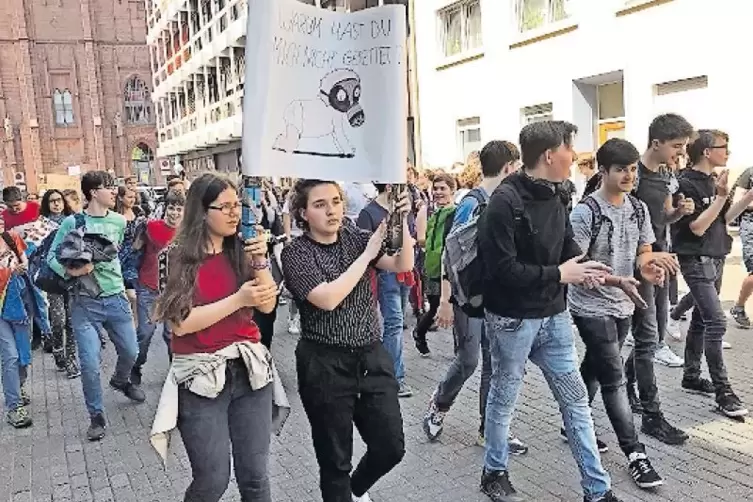 Die Schüler bei ihrem Marsch in der Innenstadt.