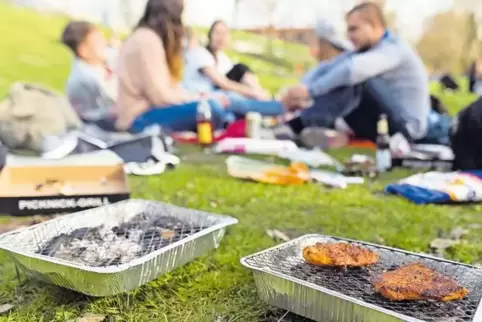 Vor allem Einweggrills verursachen in den Parkanlagen und auf den Grünflächen immer wieder Schäden.