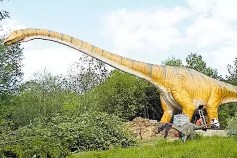 45 Meter lang: das neue Dino-Modell.