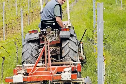 Hat jahrelang Glyphosat im Naturschutzgebiets-Weinberg gegen Unkraut gespritzt. Jetzt ist Volker Schrah erstmals mit der Egge un