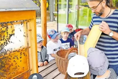 Zeigt den Kindern, wie Honig gemacht wird: Imker Jürgen Schmitt.