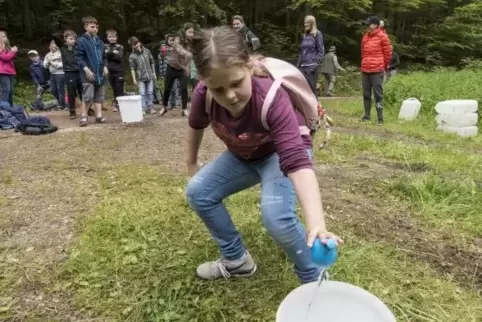 In einem kleinen Becher möglichst viel Wasser für Tiere sammeln: Wie man im Wald mit einfachen Mitteln viel Spaß haben kann, erl