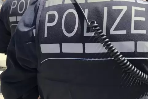 Die Polizei konnte die drei Diebe schnappen. Foto: ADRIAN HARTSCHUH 