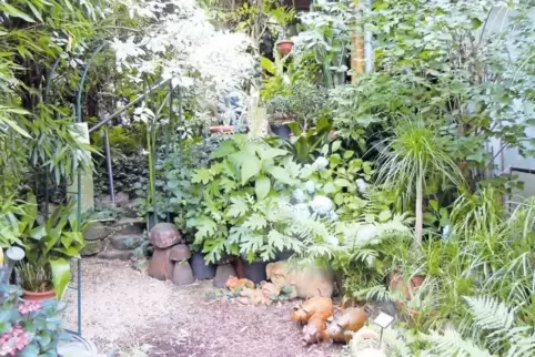 Terrassenaufgang mit Grün und Blumen.