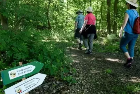 Bei der großen Hitze von Vorteil: Die Wanderung führte diesmal überwiegend durch den Wald.  Foto: Sayer