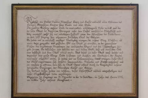 Die übersetzte Gründungsurkunde der Stadt Wolfstein im Ratssaal.  Foto: Sayer