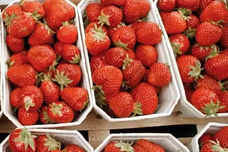 Erdbeeren im Einzelhandel. Foto: Kunz