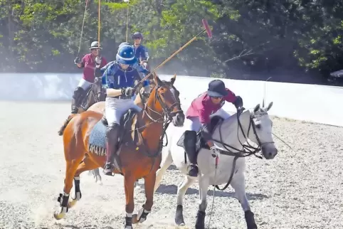 Wenn Reiter und Pferde einem Ball nachjagen: Erstmals präsentierten sechs Polo-Spieler aus Frankfurt ihren Sport in der Region.