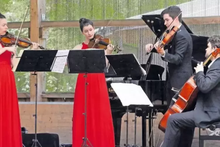 Interessantes Ambiente: Das Aris-Quartett spielt in der Reithalle des Gestüts Birkhausen.