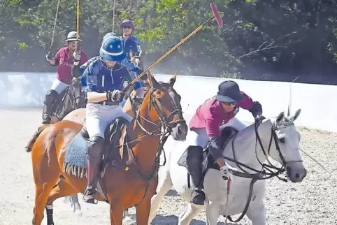 Wenn Reiter und Pferde einem Ball nachjagen: Erstmals präsentierten sechs Polo-Spieler aus Frankfurt ihren Sport in der hiesigen
