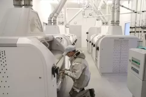 Johannes Frey kontrolliert, ob die Mühle das Korn fein genug mahlt.  Foto: Iversen