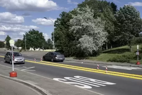 Der Schutzstreifen für Radfahrer ist an dieser Stelle in der Flomersheimer Straße unterbrochen. Von der Bushaltestelle soll auch