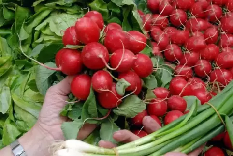 Die Obst- und Gemüsebeutel des Discounters Aldi sollen in Zukunft nicht mehr kostenlos sein. Foto: Linzmeier-Mehn