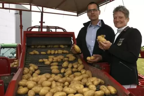 Die ersten Kartoffeln laufen übers Band: Hartmut Magin, Chef der Erzeugergemeinschaft „Pfälzer Grumbeere“ mit Markenbotschafteri