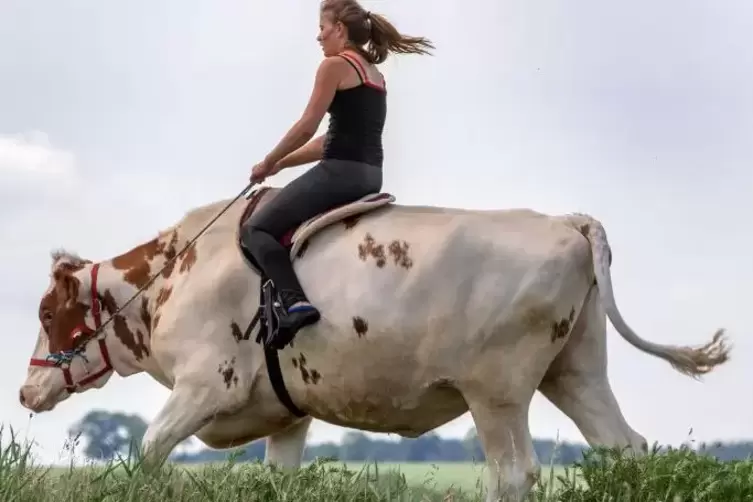 Die 18-Jährige Auszubildende Paulina Zargus reitet auf der Kuh „Mambo No.?5“. Foto: dpa