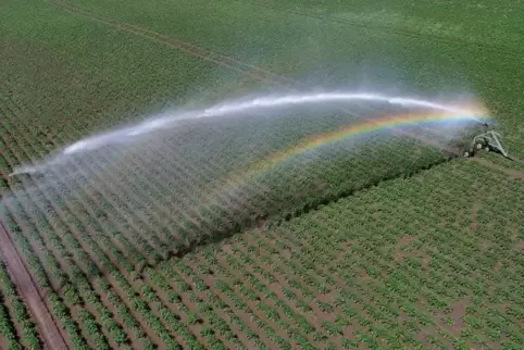 Rund 3500 Hektar Ackerflächen werden derzeit in der Südpfalz bewässert.  Foto: dpa