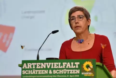 Muss der Landesvorsitz bei den Grünen abgeben: Jutta Paulus. Foto: dpa