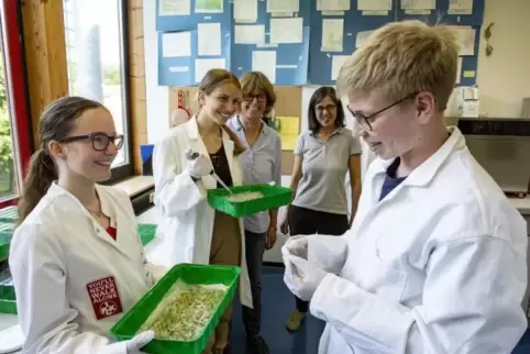 Erfolgreiche Forscher: (von links) Lara Schimmel, Johanna Kneller, Annerose Molitor-Schworm, Esther Sternheim und Jannik Hanke s