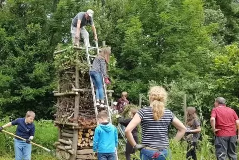 91-125388947_natursch.jpg