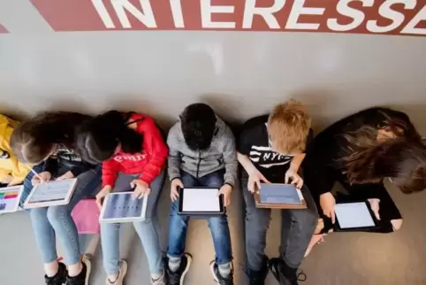 Die Digitalisierung macht vor dem Klassenzimmer nicht Halt. Lehrvideos werden auch in den Schulen immer populärer.   Foto: Julia
