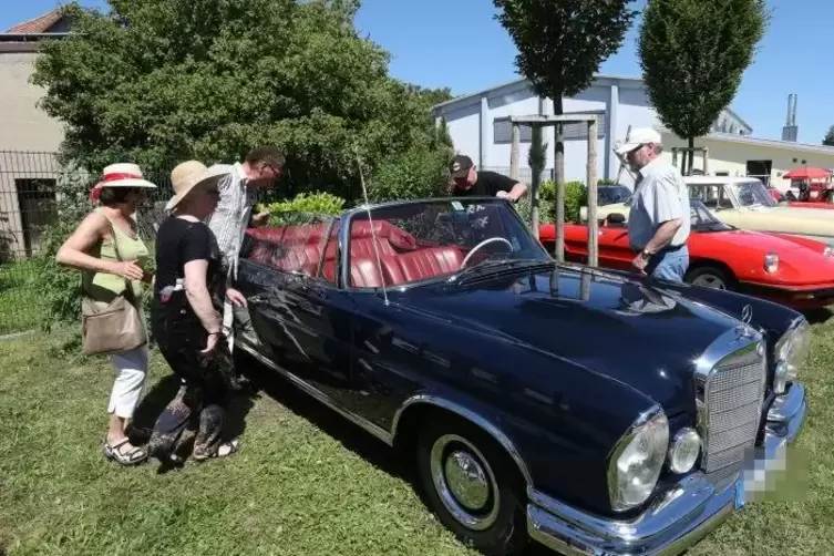 Bei der Oldtimerausstellung in Steinweiler gab es unter anderem einen Mercedes 220 SE-B aus dem Jahr 1962 zu sehen. Foto: van