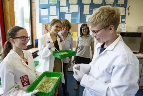 Erfolgreiche Forscher: (von links) Lara Schimmel, Johanna Kneller, Annerose Molitor-Schworm, Esther Sternheim und Jannik Hanke. 