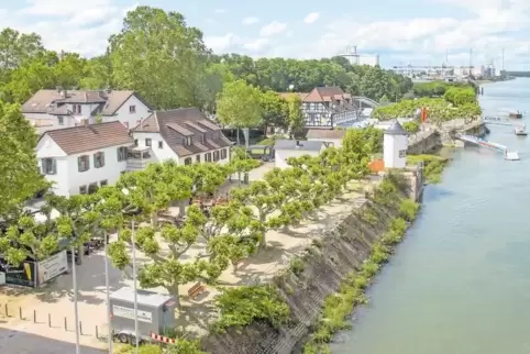 2021 soll das erste Schiff der Reederei KD an der Wormser Rheinpromenade anlegen. Rund 350.000 Euro will das Unternehmen investi