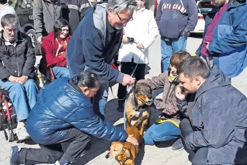 Auf den Hund gekommen: In der Lebenshilfe sind am Arbeitsplatz Hunde nicht generell erlaubt, aber in manchen Bereichen dennoch e