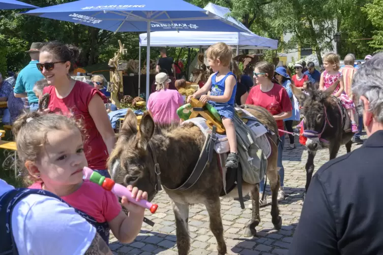 20190623_burg_00785.JPG