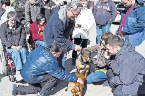 Auf den Hund gekommen: In der Lebenshilfe sind am Arbeitsplatz Hunde nicht generell erlaubt, aber in manchen Bereichen dennoch e