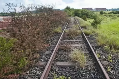Gut 200 Radfahrer nutzen bereits jetzt die Strecke zwischen Weilerbach und der Stadt. Ein Radweg auf der Bachbahntrasse würde di