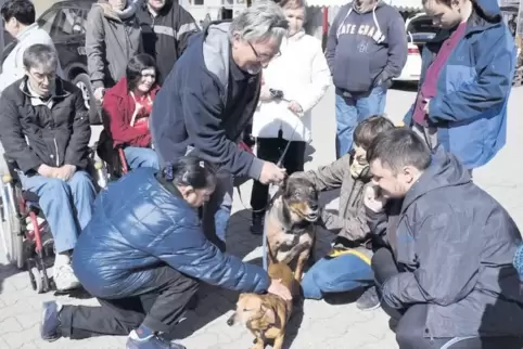 Auf den Hund gekommen: In der Lebenshilfe sind am Arbeitsplatz Hunde nicht generell erlaubt, aber in manchen Bereichen dennoch e